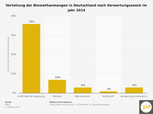 biomethan---verteilung-in-deutschland-nach-verwertungszweck-2014